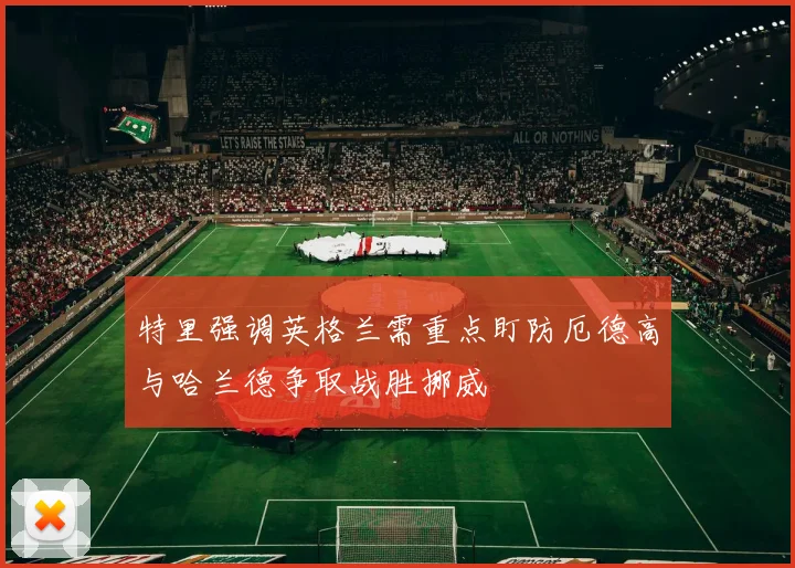 特里强调英格兰需重点盯防厄德高与哈兰德争取战胜挪威